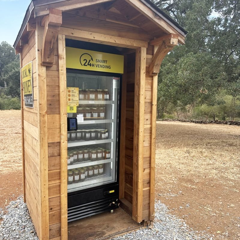 13-scaled-rb94tn84nakpyxcx04w2lwmnmf2kkv5kyt6j924u2o